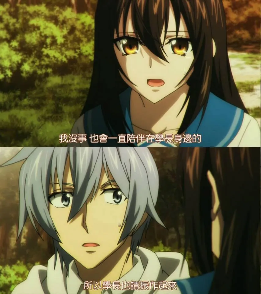 噬血狂袭 STRIKE THE BLOOD-绝对领域