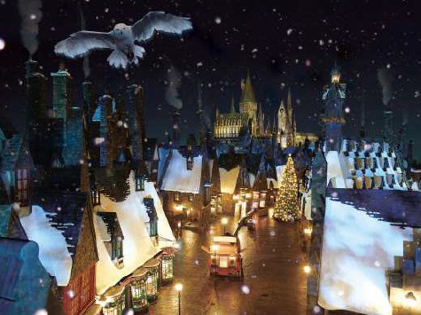 日本环球影城 『哈利波特魔法世界』 最特别的魔法世界之冬，全球首次*登场