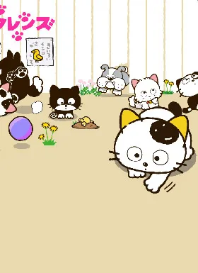 猫狗宠物街