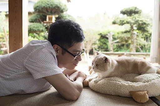 超治愈手游《猫咪收集》居然要翻拍真人电影?!看看「伊藤淳史」要如何收集三次元的猫w