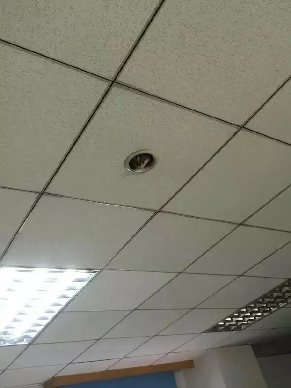 秀色可餐的乳首美味与金光闪闪的日本大叔-图毒生灵一百五十四弹