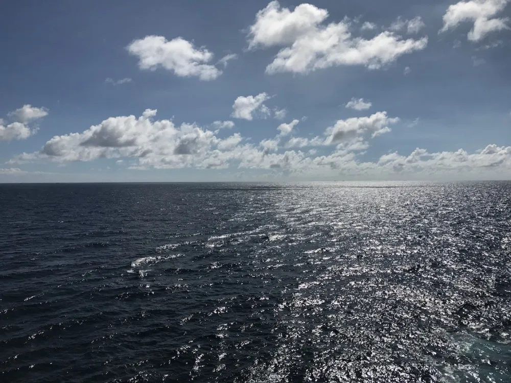 海洋量子号 游轮wildgun 游记 海洋量子号游轮侵略指南でゲソ!(四)完结篇