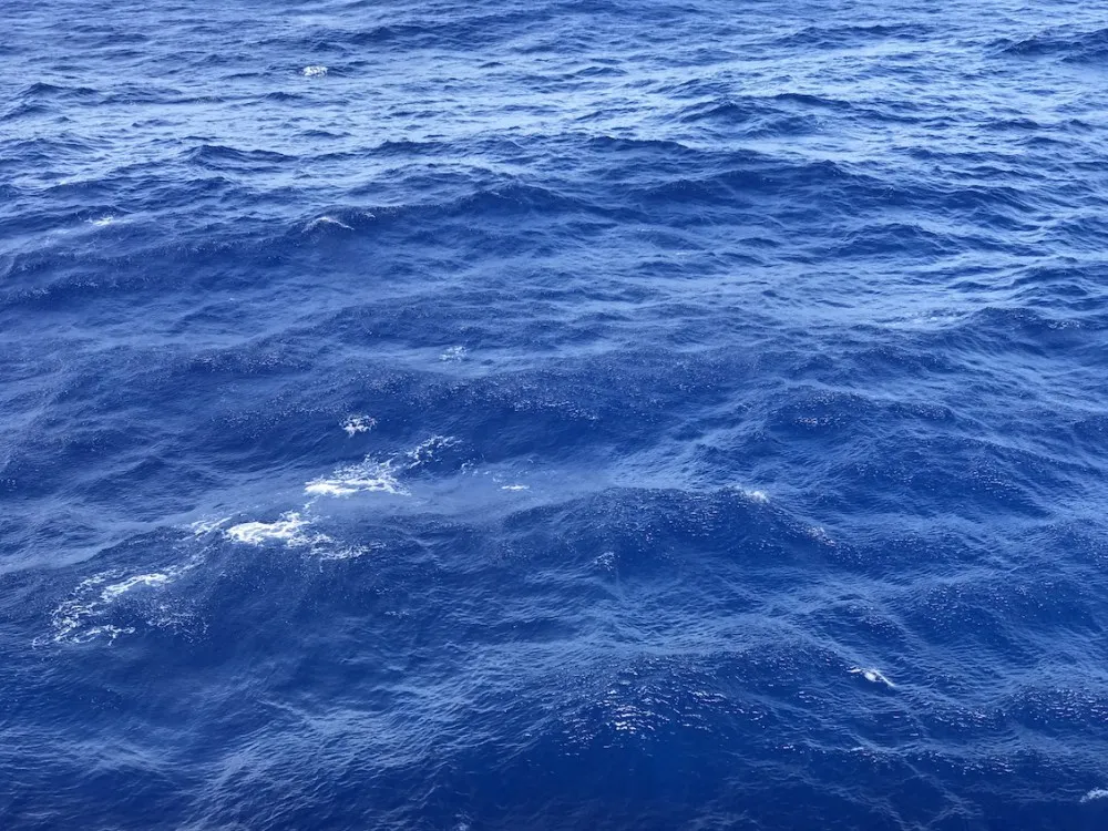 海洋量子号 游轮wildgun 游记 海洋量子号游轮侵略指南でゲソ!(四)完结篇