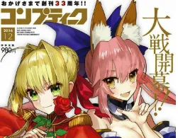 「Fate/Grand Order」电视动画确定 年末特别番播出-绝对领域