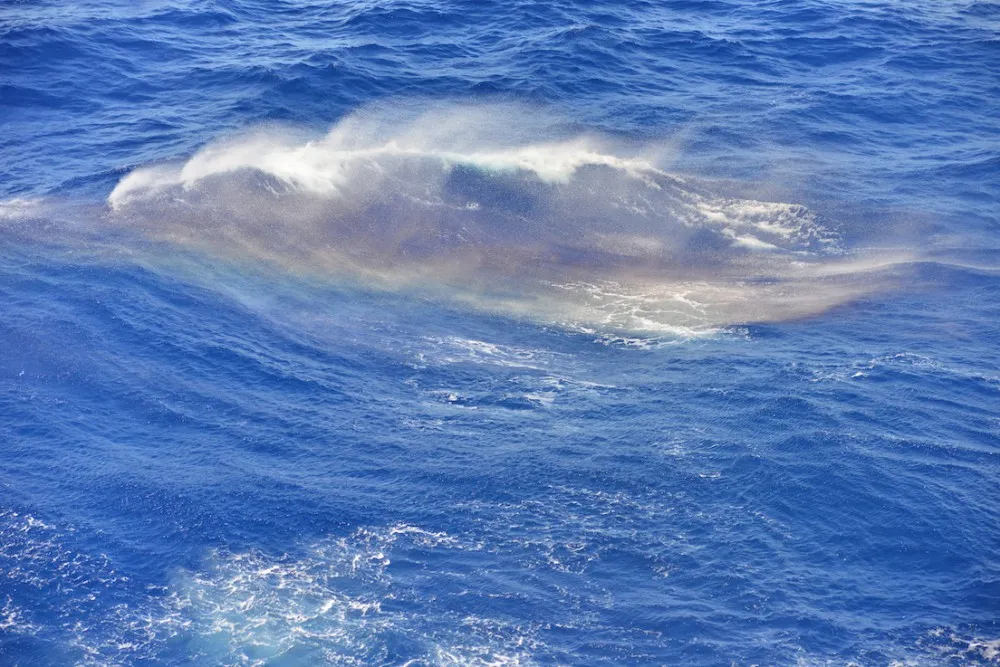 海洋量子号 游轮wildgun 游记 海洋量子号游轮侵略指南でゲソ!(四)完结篇