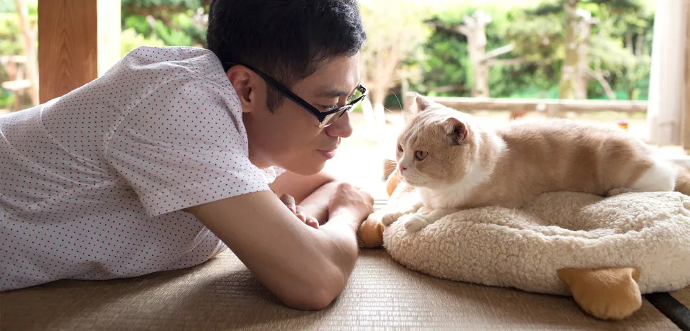人气手游「猫咪后院」改编真人电影 电车男主演-绝对领域