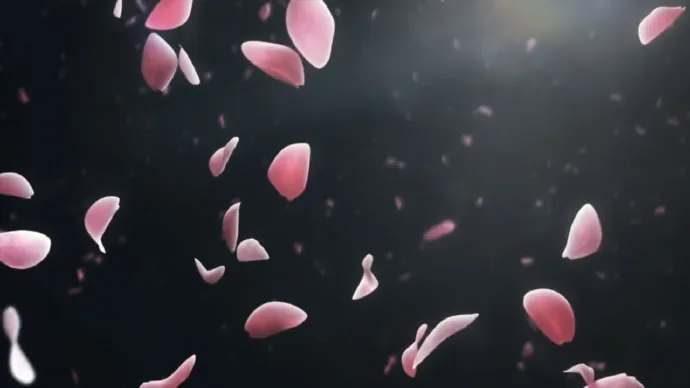 七月再拔刀-「活击/刀剑乱舞」主视觉公布PV公开