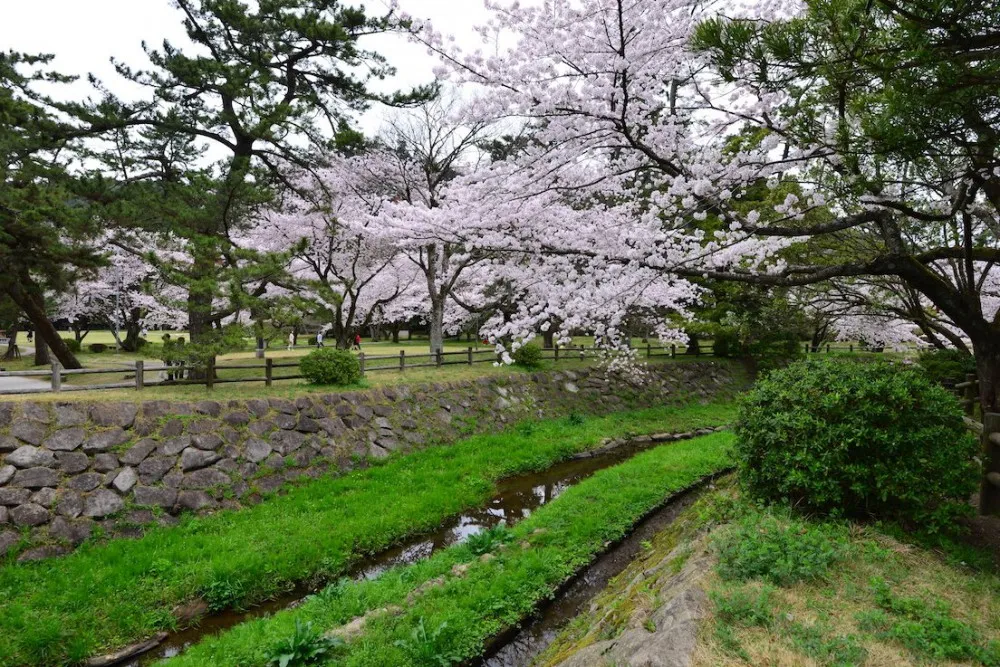 出云大社 参拜出云大社 《稻荷恋之歌》圣地巡礼—wildgun的2016樱季日本中国地区三日旅行