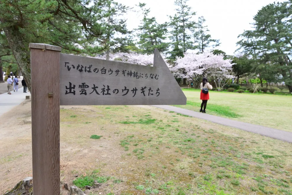 出云大社 《稻荷恋之歌》 圣地巡礼 参拜出云大社 《稻荷恋之歌》圣地巡礼—wildgun的2016樱季日本中国地区三日旅行