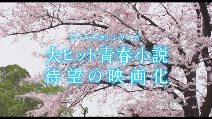 佐藤胜利 桥本环奈-「春&夏推理事件簿」真人电影预告片公布