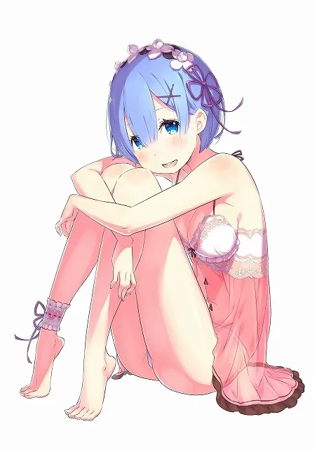 Re:从零开始的异世界生活 蕾姆 生日祭