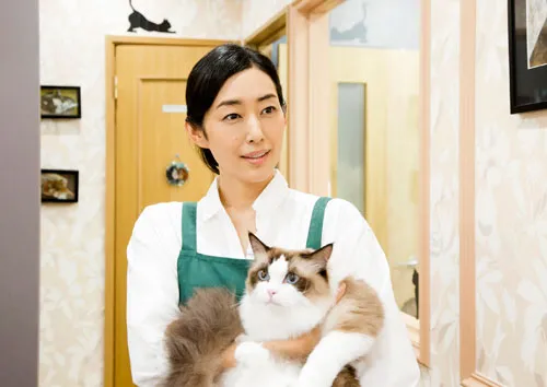 超治愈手游《猫咪收集》改编真人版电影，特报宣传影片现正公开！-绝对领域