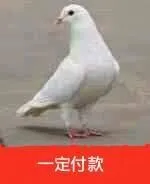 再谈98亿B站手办事件 网友吐槽更有趣