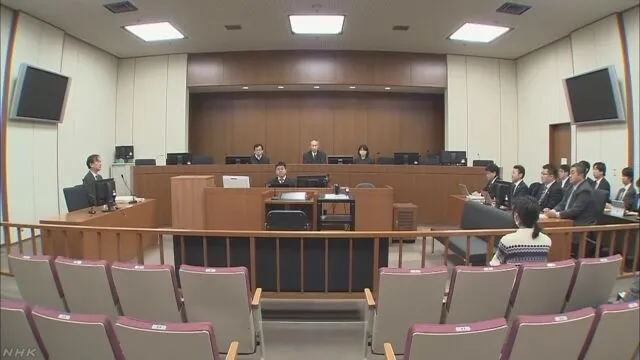东京高级法院:制作裸体CG违反儿童色情禁止法,二审改判罚金30万日元