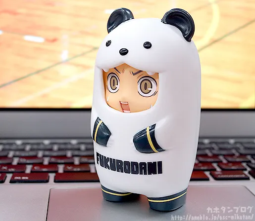 单细胞?猛禽类?–全国五强之一木兔光太郎来啦❤嘿!嘿!嘿!