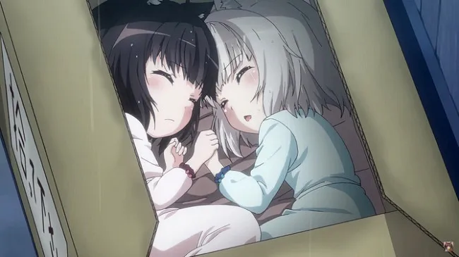 爱猫一族的大胜利!《NEKOPARA OVA》刷新Kickstarter动画部门募资金额最高记录!