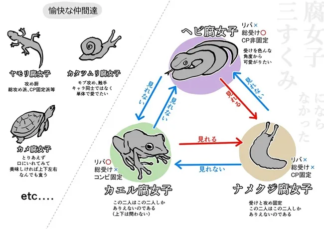 腐女子们令人难以理解吗?用一张生态图帮你解释腐腐们之间的生存关系(◉◞౪◟◉ )b