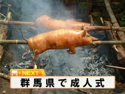 地域黑群马县-漫画「你还是不懂群马」改编日剧与电影 宫祥太朗主演