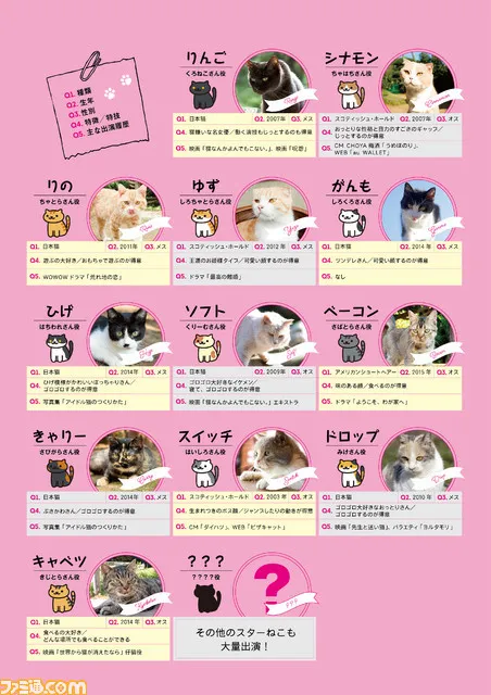12位大牌群演亮相-真人电影版「猫咪后院」 12只喵配戏电车男