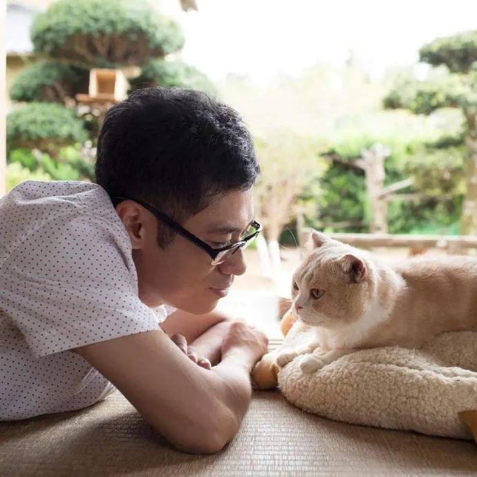 12位大牌群演亮相-真人电影版「猫咪后院」 12只喵配戏电车男-绝对领域