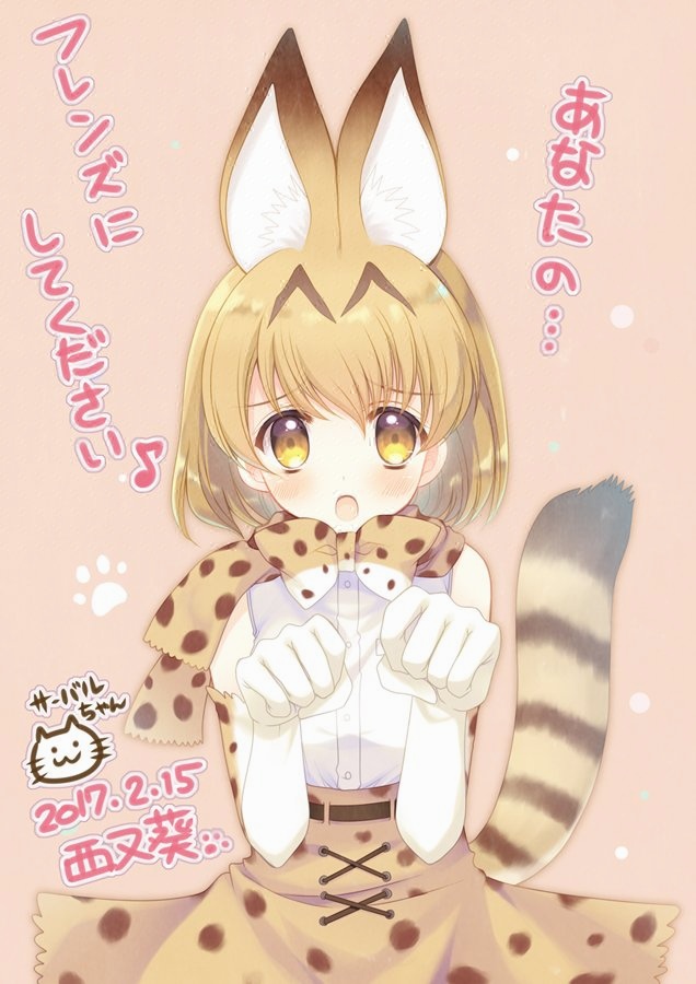 一只薮猫搅动一月新番格局-「兽娘动物园」爆红引发关注 NHK新闻也提及