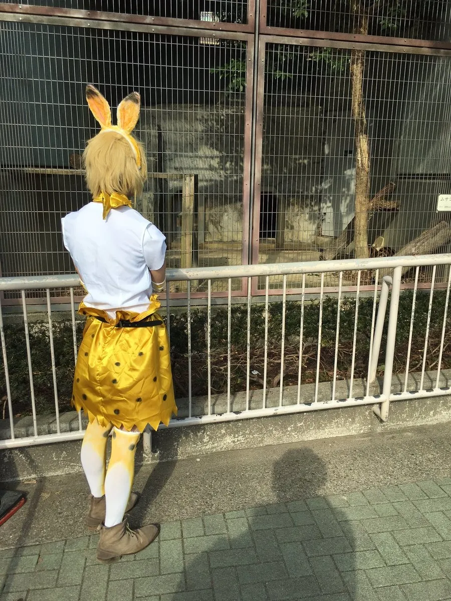 「兽娘动物园」niconico首集播放量过200万 吉崎观音透露将有续作