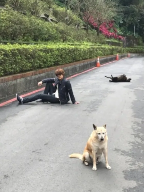 【POSE很重要】声优「宫野真守」到九份与狗狗拍帅照?果然人帅狗也帅XDD!
