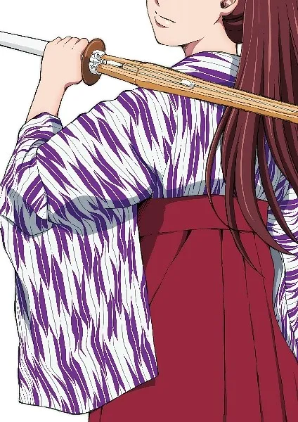 大和和纪画业50周年纪念-代表作「窈窕淑女」2017年动画剧场版确定-绝对领域