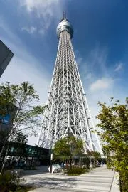 擅长跳跃的朋友到底有多会跳?空想科学GAME读本这次来分析大家都爱的薮猫酱★