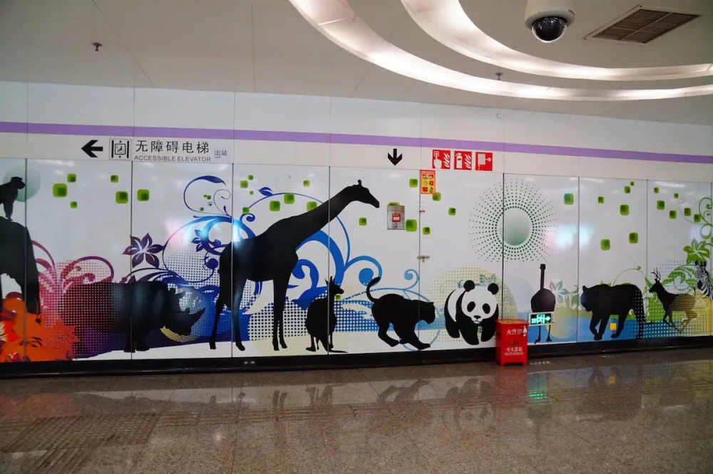 上海动物园 地铁站 探望网红薮猫酱 一起来做Friends- 魔都上海动物园薮猫观览指南
