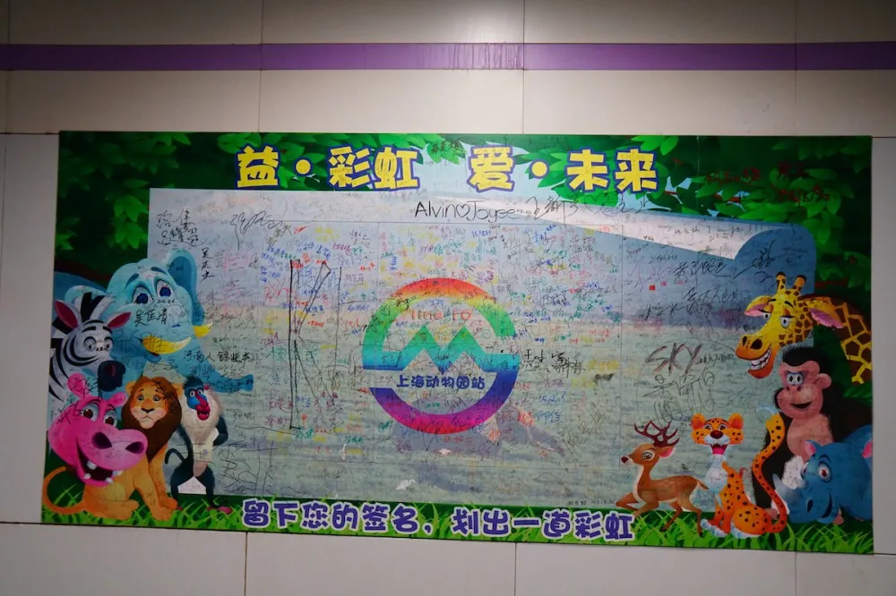 上海动物园 探望网红薮猫酱 一起来做Friends- 魔都上海动物园薮猫观览指南