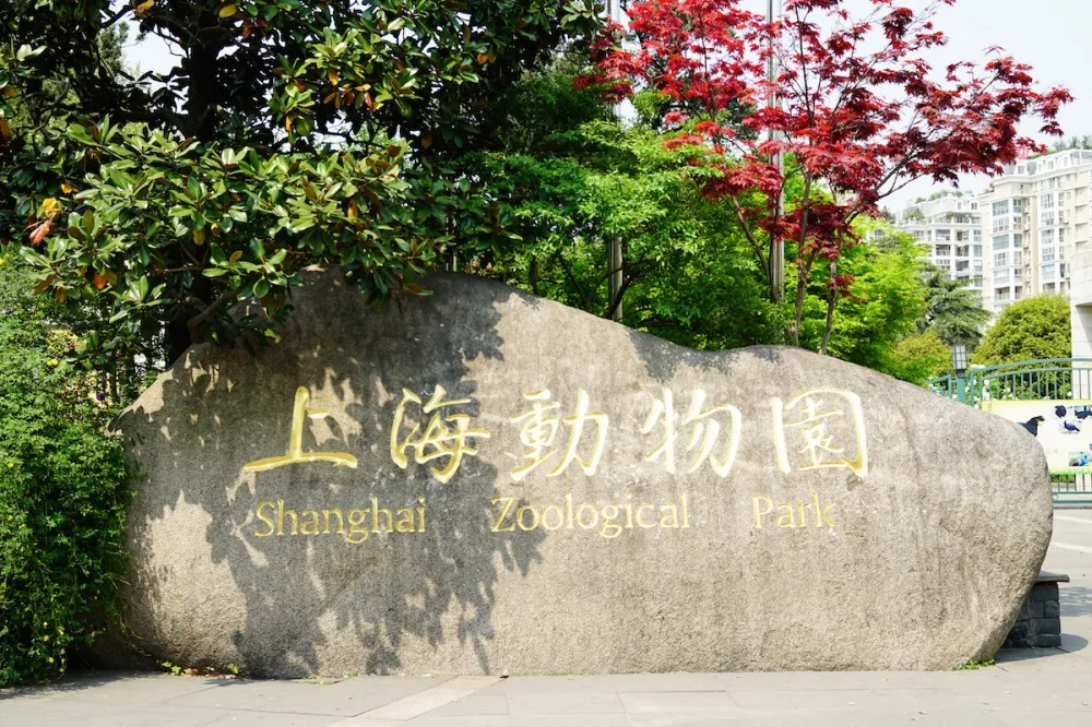 上海动物园 入口 动物园名 探望网红薮猫酱 一起来做Friends- 魔都上海动物园薮猫观览指南