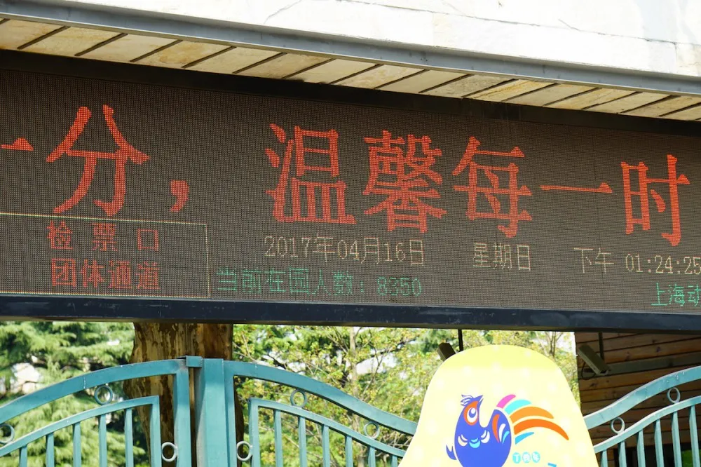 上海动物园 入口处 探望网红薮猫酱 一起来做Friends- 魔都上海动物园薮猫观览指南