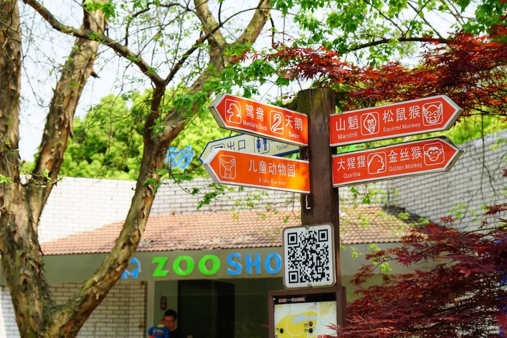 上海动物园 指示牌 探望网红薮猫酱 一起来做Friends- 魔都上海动物园薮猫观览指南