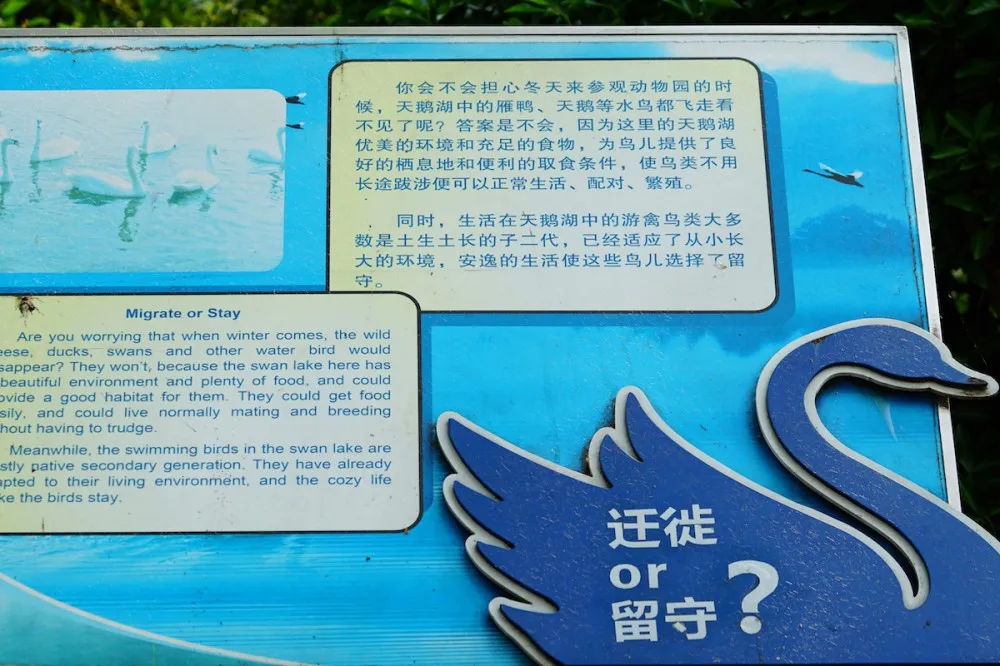 上海动物园 水鸟 问答板 探望网红薮猫酱 一起来做Friends- 魔都上海动物园薮猫观览指南