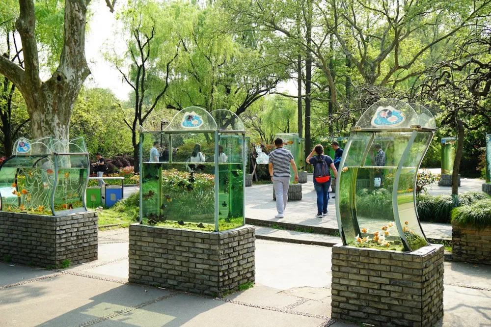 上海动物园 鱼类 探望网红薮猫酱 一起来做Friends- 魔都上海动物园薮猫观览指南