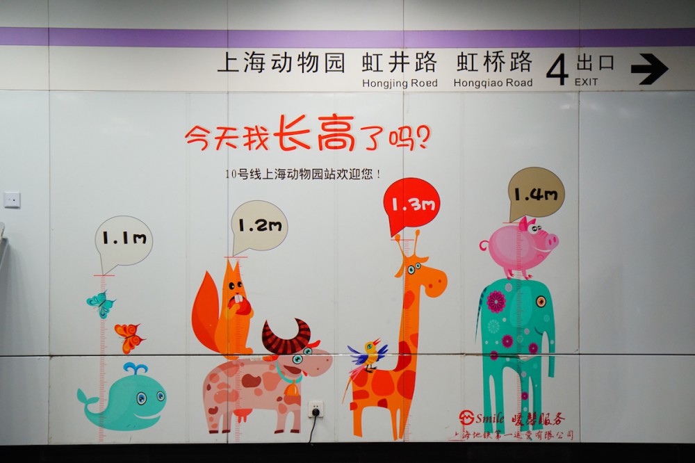 探望网红薮猫酱 一起来做Friends- 魔都上海动物园薮猫观览指南