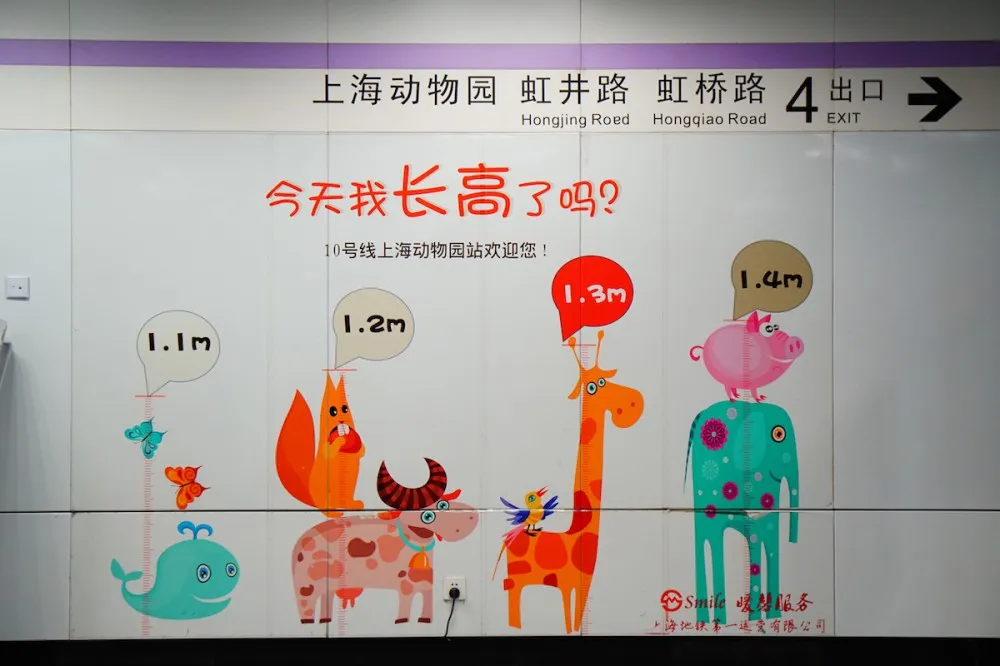 上海动物园 地铁站 探望网红薮猫酱 一起来做Friends- 魔都上海动物园薮猫观览指南
