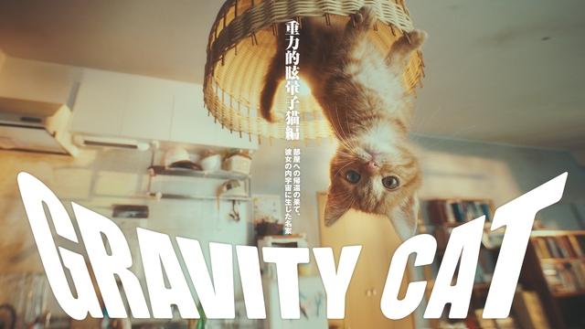 冒险游戏《重力异想世界完结篇》宣传影片「重力猫」获得世界广告大奖（洒花）！好看的广告就是要多看几次✿