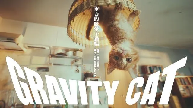 冒险游戏《重力异想世界完结篇》宣传影片「重力猫」获得世界广告大奖（洒花）！好看的广告就是要多看几次✿-绝对领域
