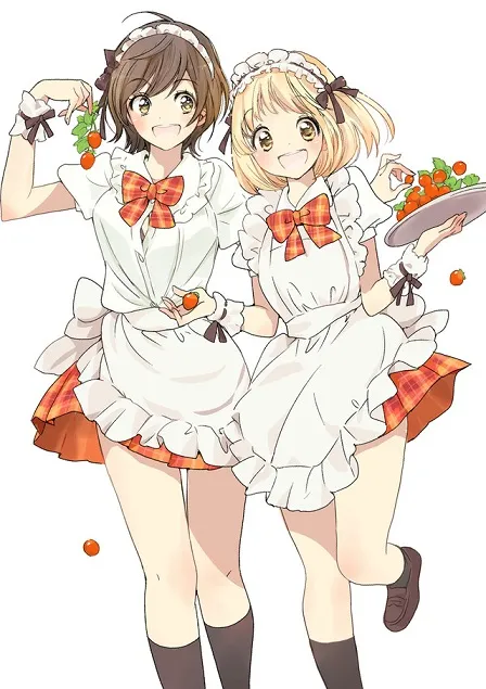 「加濑同学」系列漫画决定推出最新作品《围裙与加濑同学》，初回限定版本将附赠影像Blu-ray光碟！-绝对领域