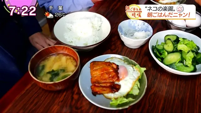【你也看得到喔★】梶裕贵、宫野真守等5位声优为NHK晨间节目献声!NHK特地从5月15日至5月21日于官网公开影片♥