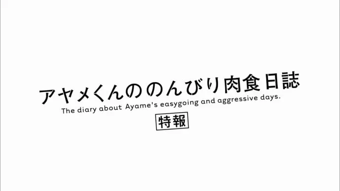 给爷袭个胸呗!-《彩芽的悠闲肉食日记》电影特报视频公布