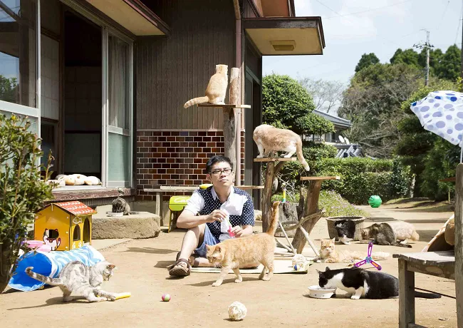 《猫咪收集之家》伊藤淳史到哪都很宅 公然与女演员滚来滚去 电影慈善首映会 林芯仪、王俐人献爱心-绝对领域