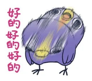 最敷衍了事的居家用品登场,「懒的鸟你」造型调味罐让你摇到停不下来!