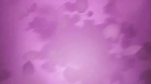动画《活击 刀剑乱舞》终于开播啦!一对耳环以及13朵彼岸花让婶婶们开始害怕剧情走向(抖)
