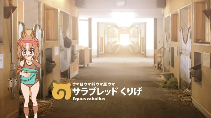 都是爱赛马的朋友-JRA日本中央赛马会×『兽娘动物园』合作动画短片公开