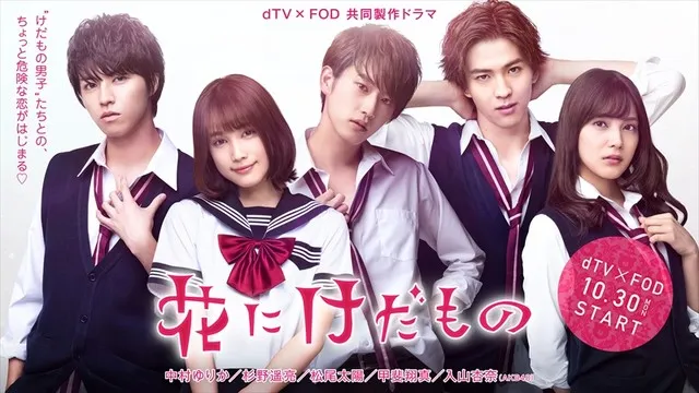 杉野遥亮＆中村由里香主演，《护花野兽》真人版日剧新宣传影像公开-绝对领域