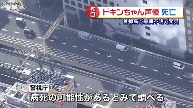 【讣闻】曾担任《面包超人》小病毒、《七龙珠》布玛等经典角色声优「鹤弘美」逝世