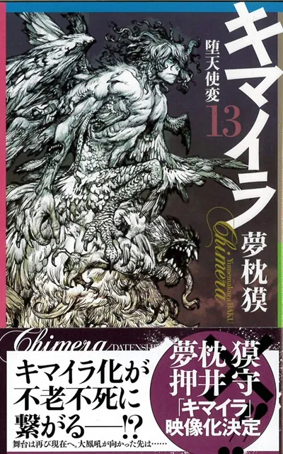 图片[1]-梦枕貘小说名作《幻兽少年》即将改编电影动画，确定由押井守担任监督-绝对领域